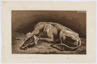 Sleeping Greyhound, by Johann Christian Reinhart, ink, 1811