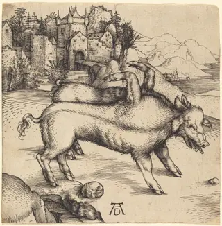 The Monstrous Pig of Landser, by Albrecht Dürer, ink, 1496