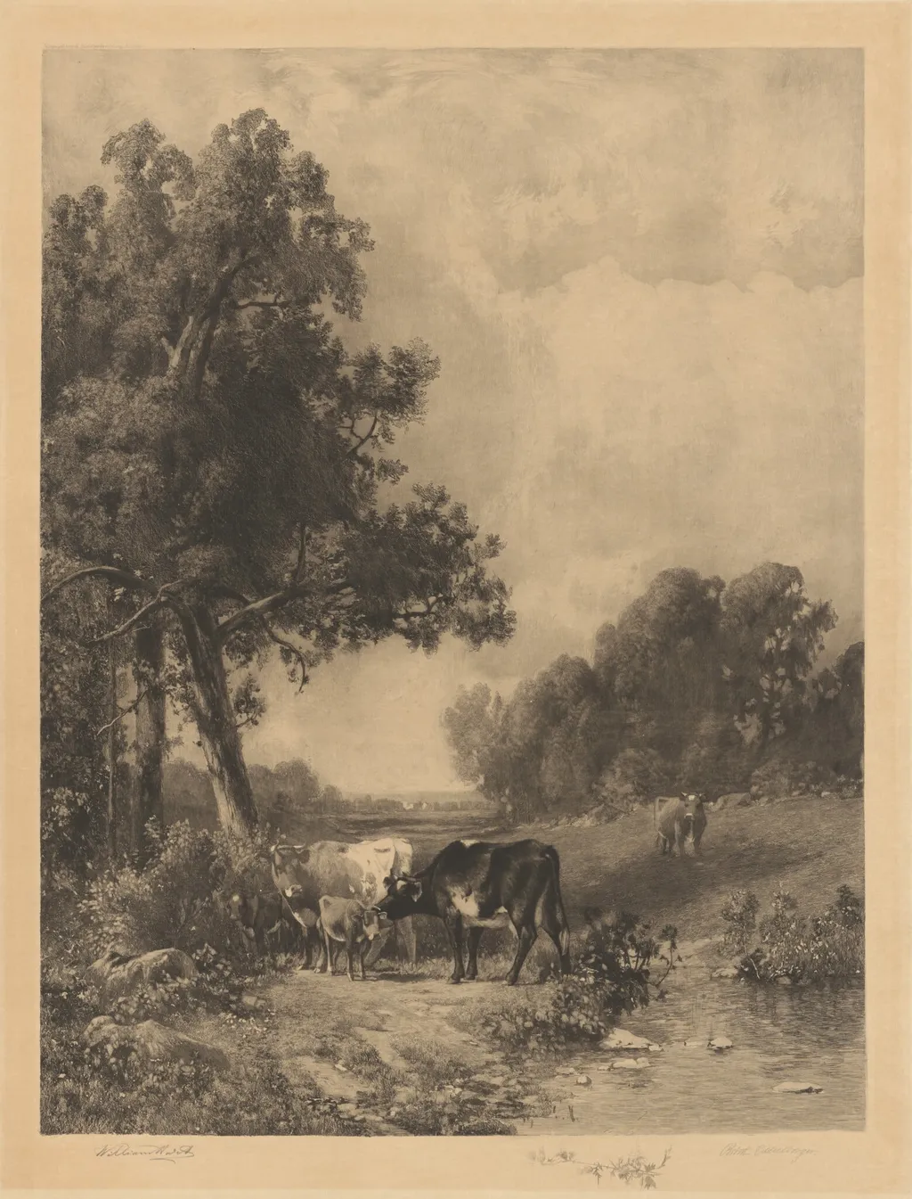 Untitled (Cows And Calves By A Stream), by Robert A. Eichelberger, ink, 1889