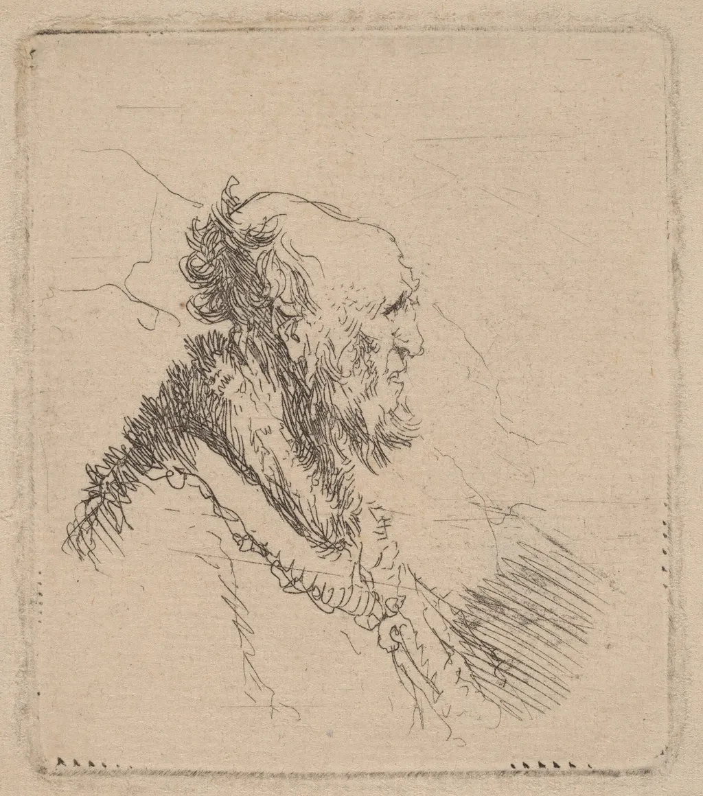Bald Old Man with a Short Beard in Profile, by Rembrandt van Rijn, ink, 1635