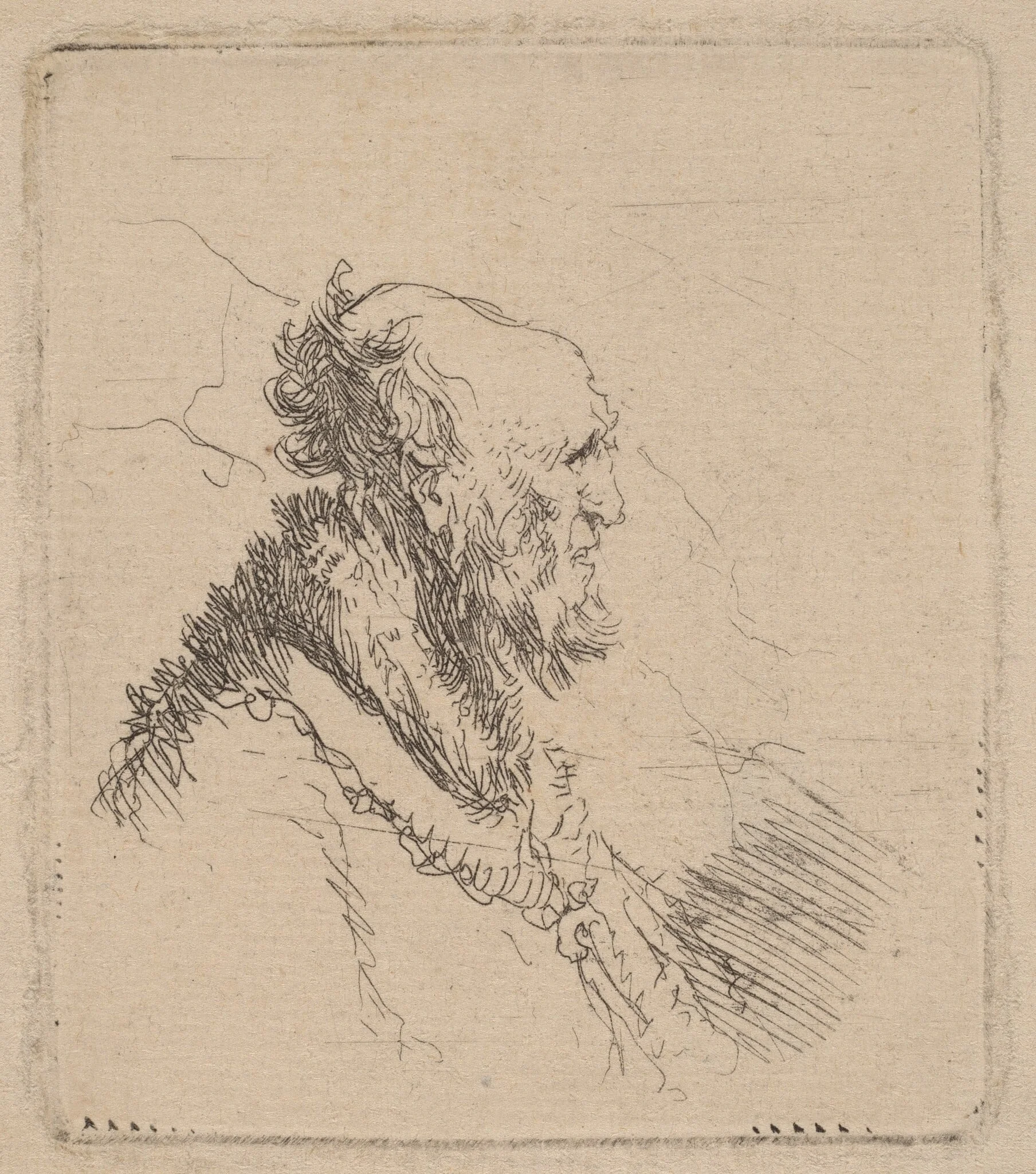 Bald Old Man with a Short Beard in Profile, detail