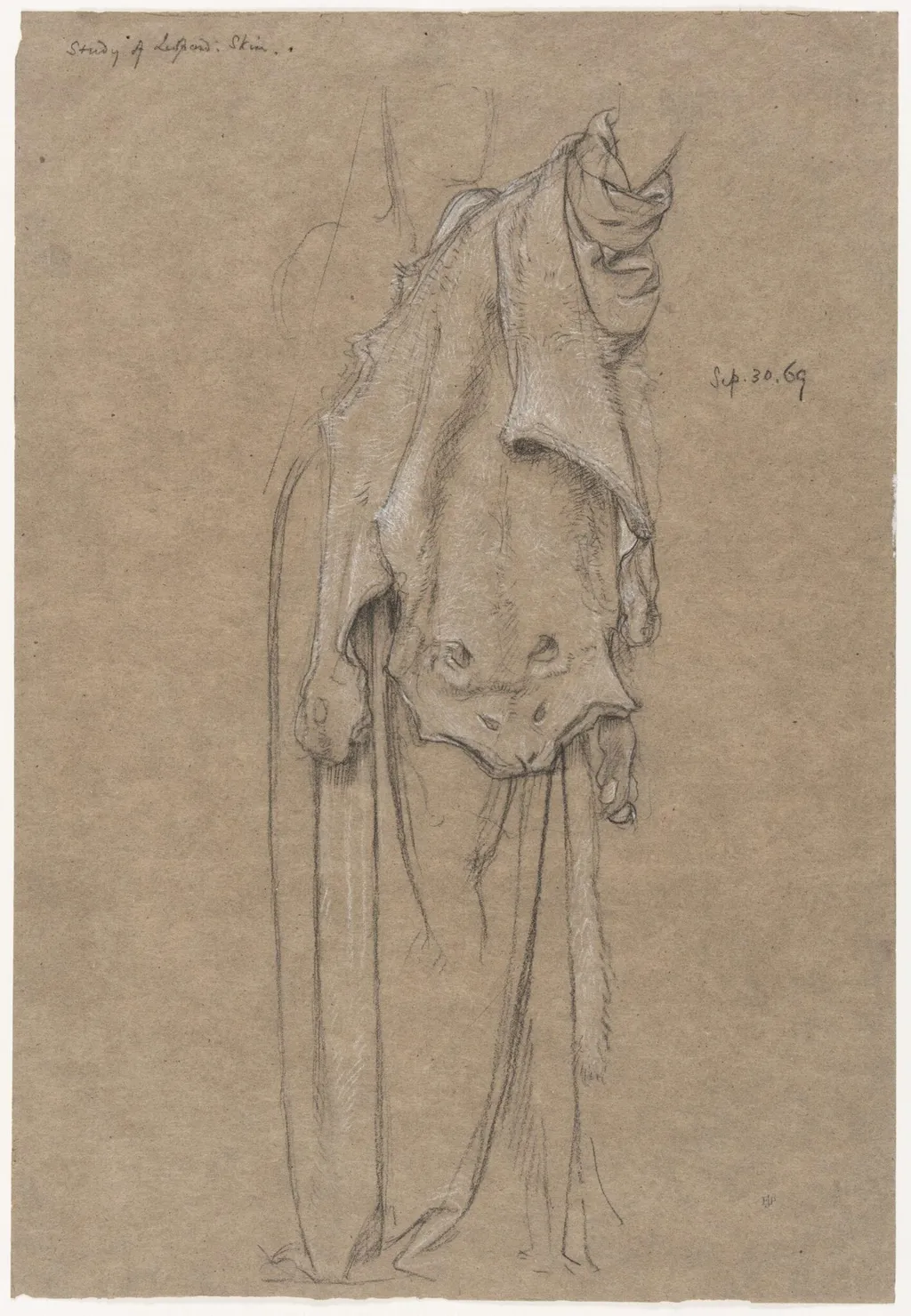 Study for a leopard skin for the figure of Fortitiude, by Edward John, Sir Poynter, 20
