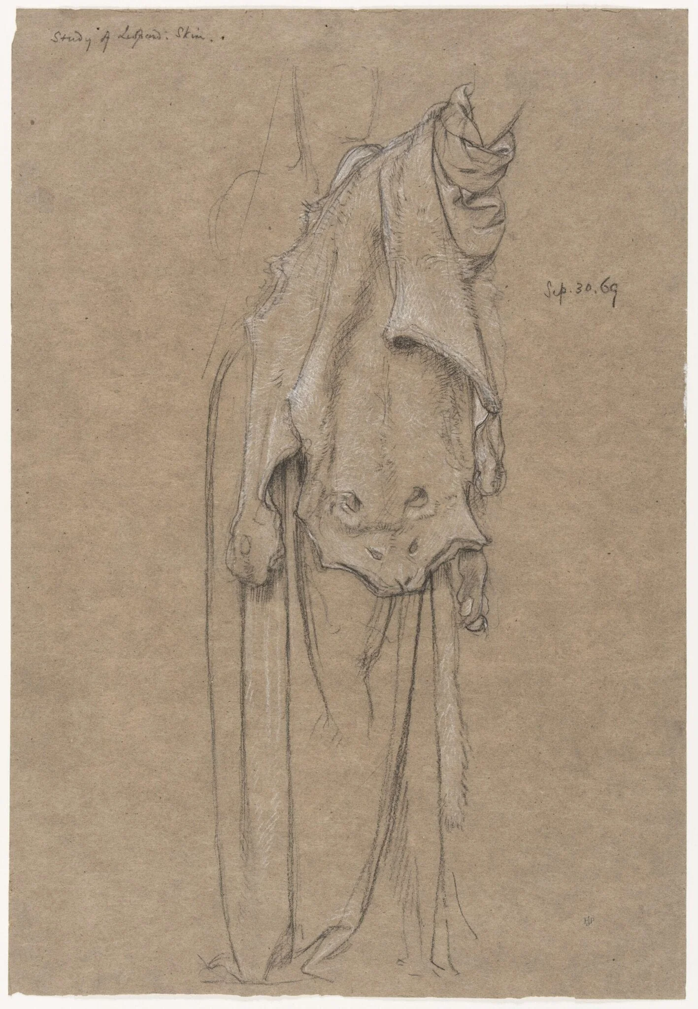Study for a leopard skin for the figure of Fortitiude, detail
