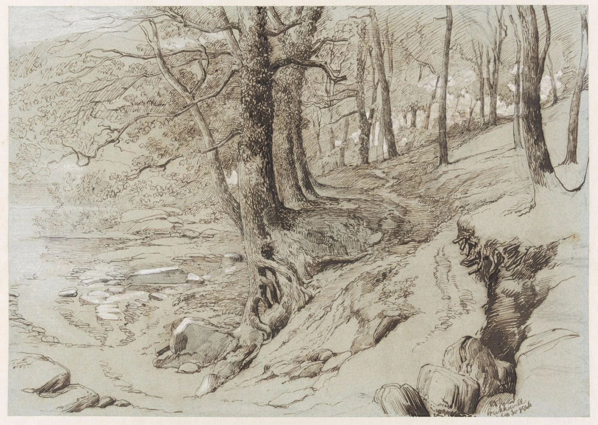 Trees near a stream at Crickhowell, detail