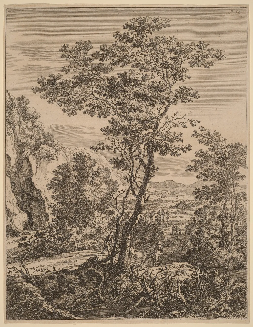 The Large Tree, by Jan Both, ink