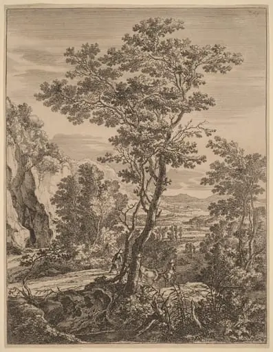 The Large Tree, by Jan Both, ink