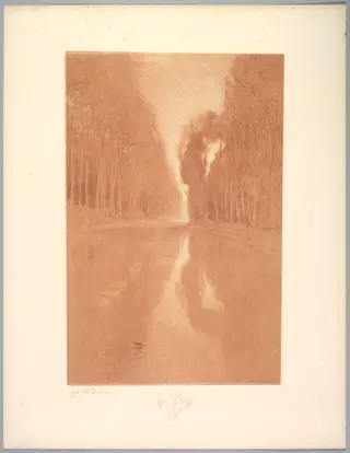Suite de Paysages: Landscape, Plate 2, Remarque, Starflowers, by Charles Marie Dulac, 1892