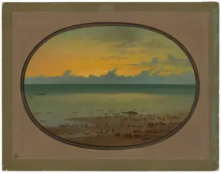 A Whale Ashore - Klahoquat, by George Catlin, oil, 1862