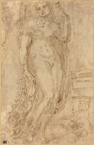 Allegorical Figure with a Cat and a Pig, by Jacopo di Giovanni di Francesco, ink, 1530