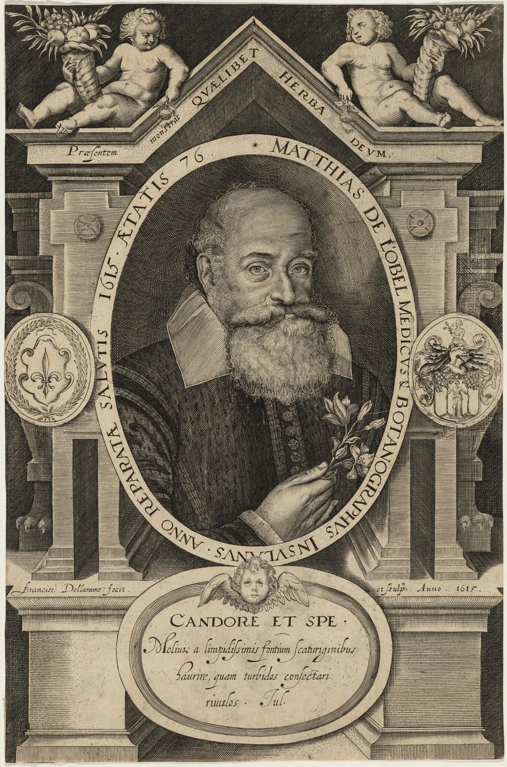 Matthias de l'Obel, by Francis Delaram, ink, 1615