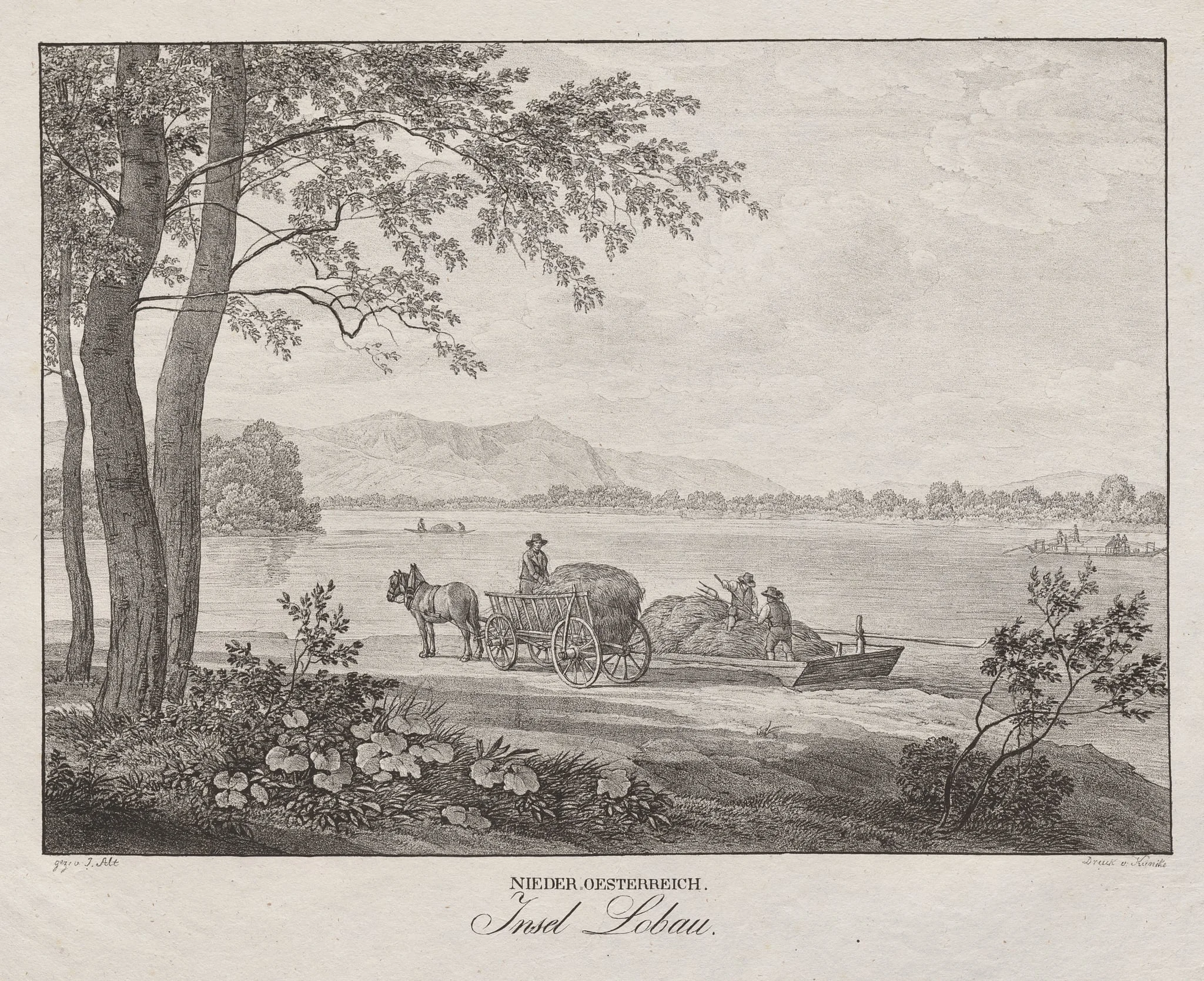 Nieder-oesterreich, Insel Lobau, detail