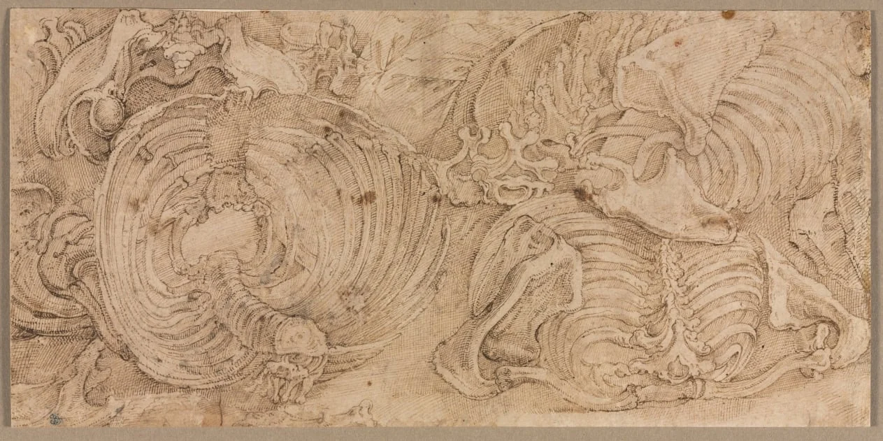 Rib Cages, detail