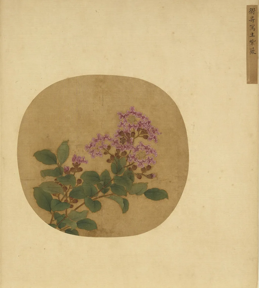 Crape Myrtle Sketched from Life, by Wei Sheng, unspecified, 1203