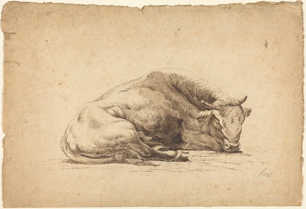 A Bull Sleeping, by Johann Heinrich Roos, chalk, 1672
