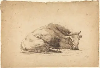 A Bull Sleeping, by Johann Heinrich Roos, chalk, 1672