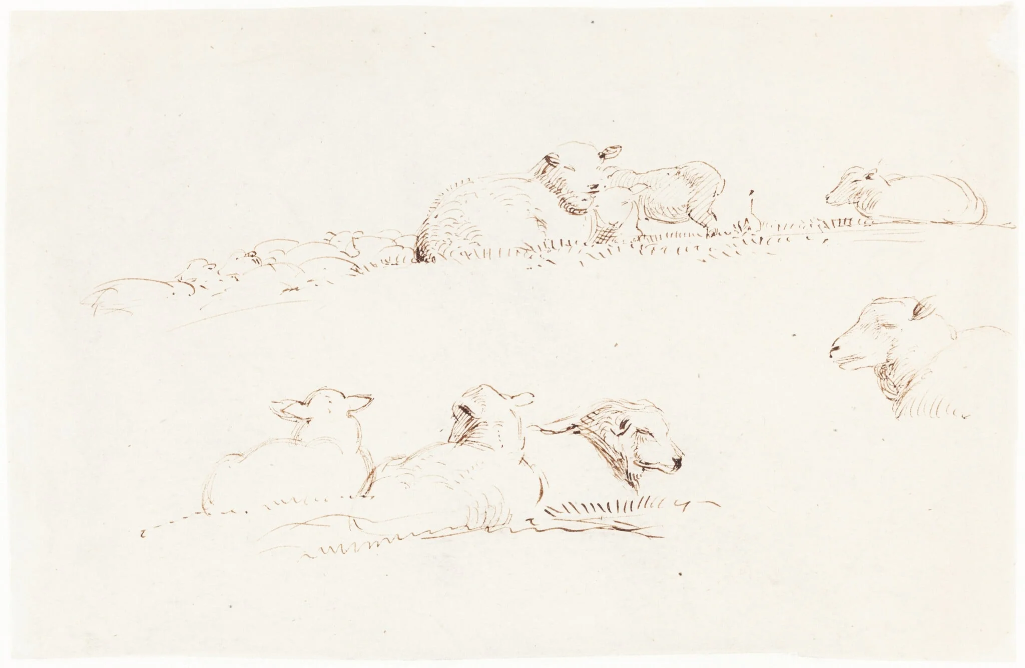 Studies of Sheep in Pasture, detail