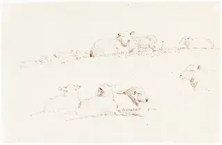 Studies of Sheep in Pasture, by George Richmond, ink, 1838