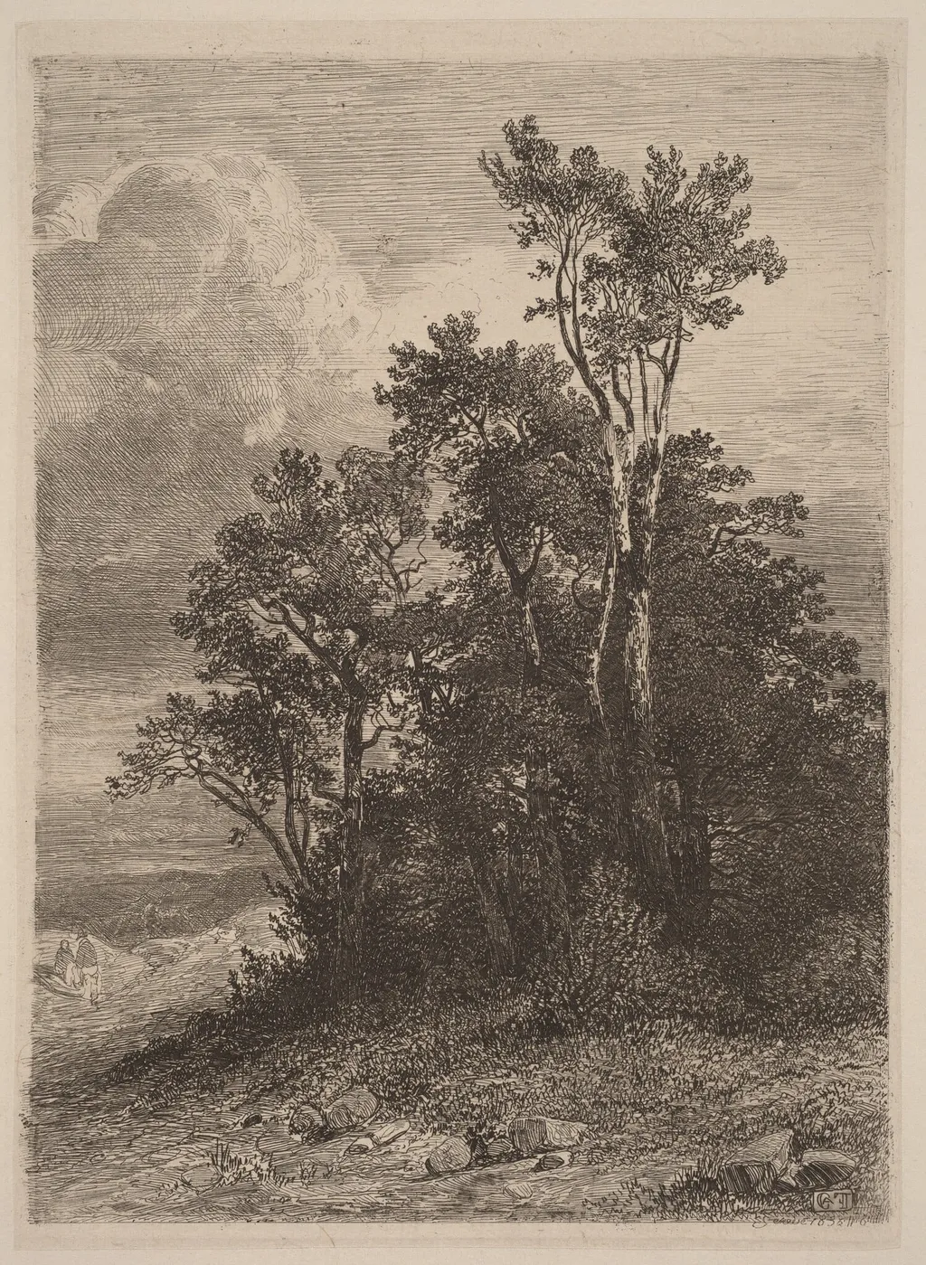Grove of Trees, by Alexandre Calame, ink, 1838