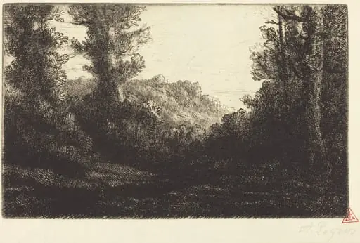 Edge of a Wood (Lisiere de bois), by Alphonse Legros, ink, 1874