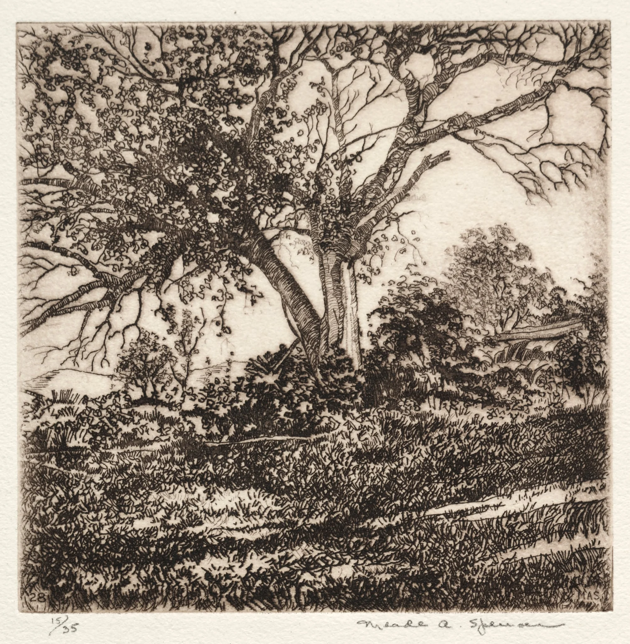 Apple Tree, detail
