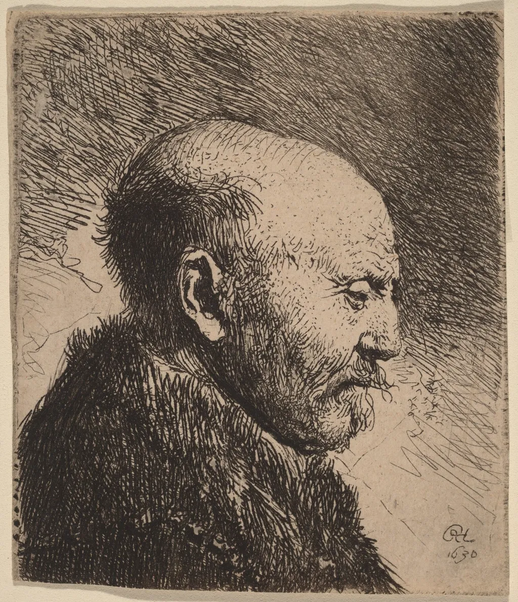 A Bald Man in Profile (The Artist's Father?), by Rembrandt van Rijn, ink, 1630