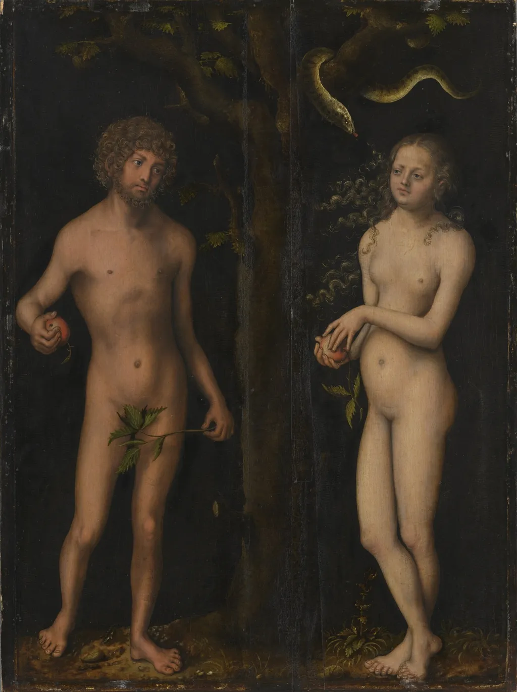Adam and Eve, by Lucas Cranach the Elder, unspecified, 1510