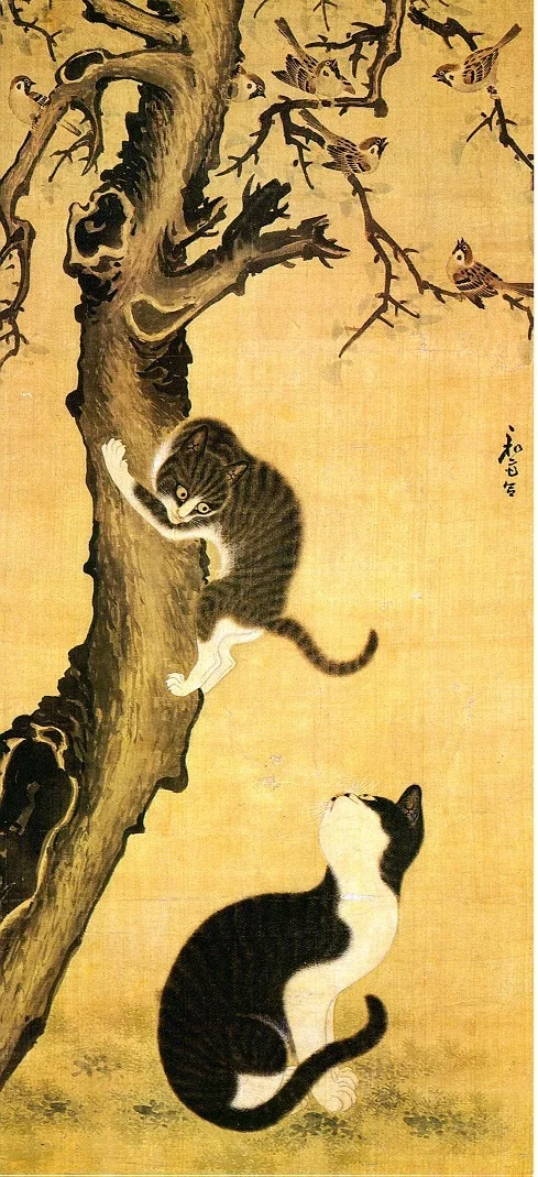 Myojakdo, detail