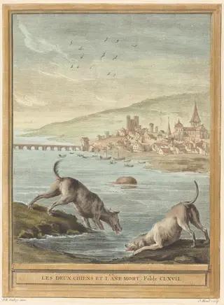 Les deux chiens et l'ane mort (Two Dogs and the Dead Donkey), by Elie du Mesnil, ink, 1756