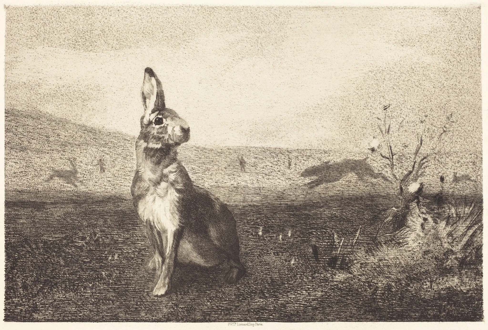 The Hare (Le Lièvre), detail