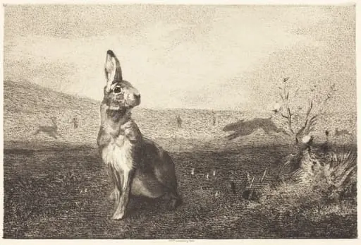 The Hare (Le Lièvre), by Félix Bracquemond, ink, 1865