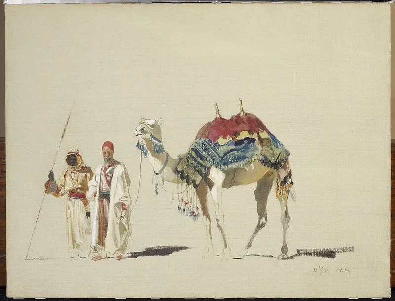 Sultan’s white camel, sketch, detail