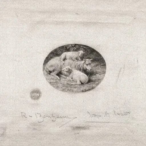 Sheep and Lambs, by Joseph Bishop Pratt, 1893
