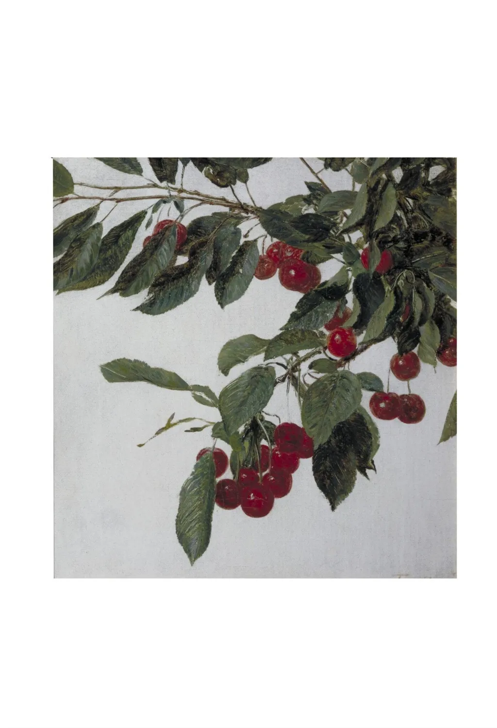 Cherries, by Henri Fantin-Latour, paint, 1883