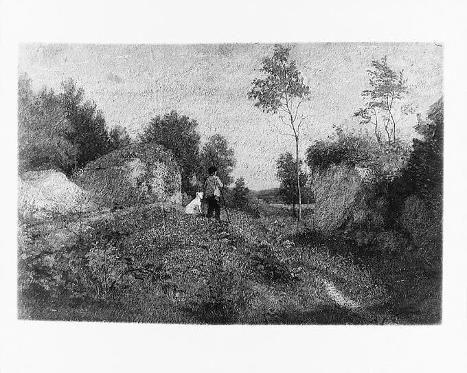 Landscape, detail