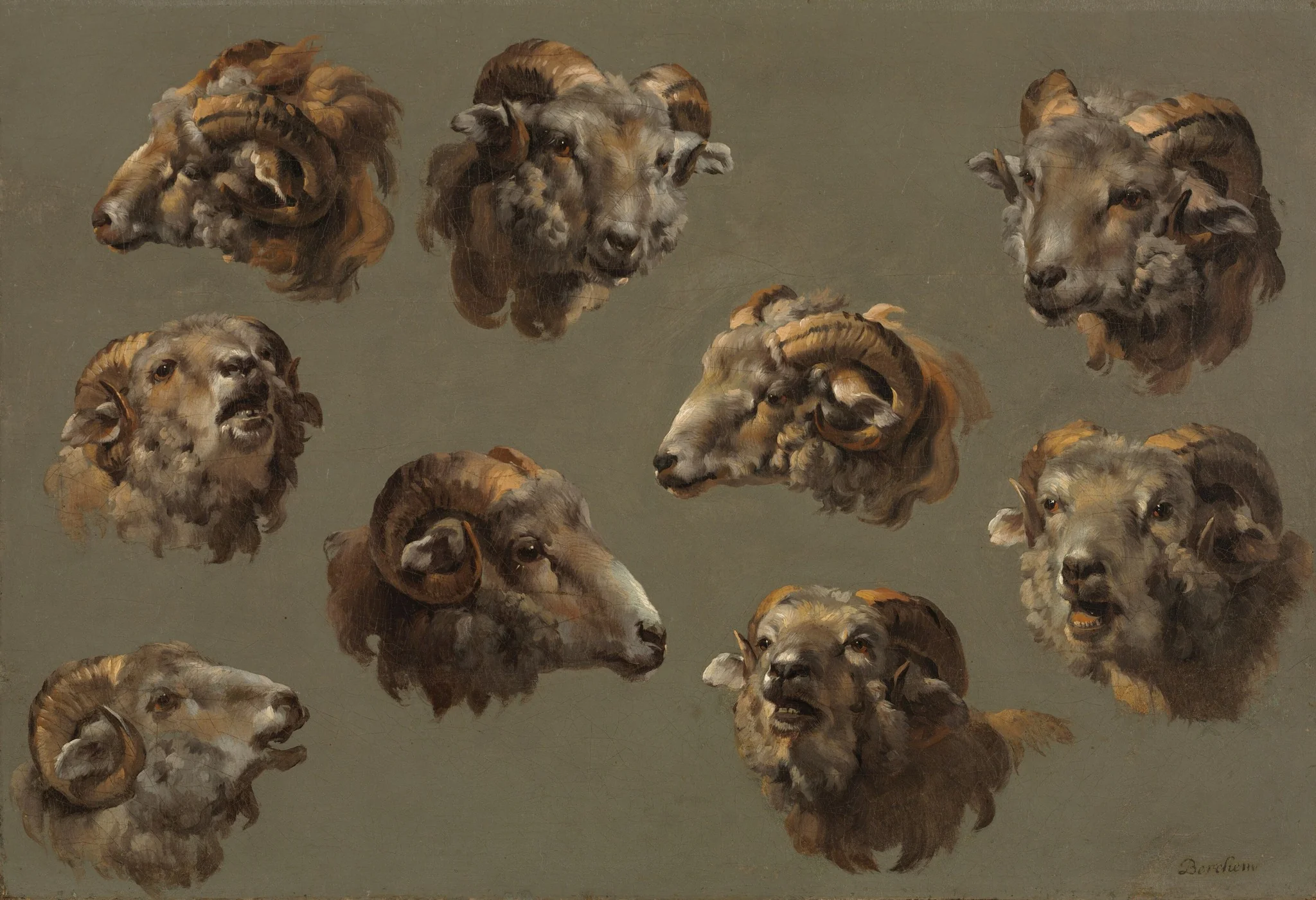 Studies of Ram Heads, detail