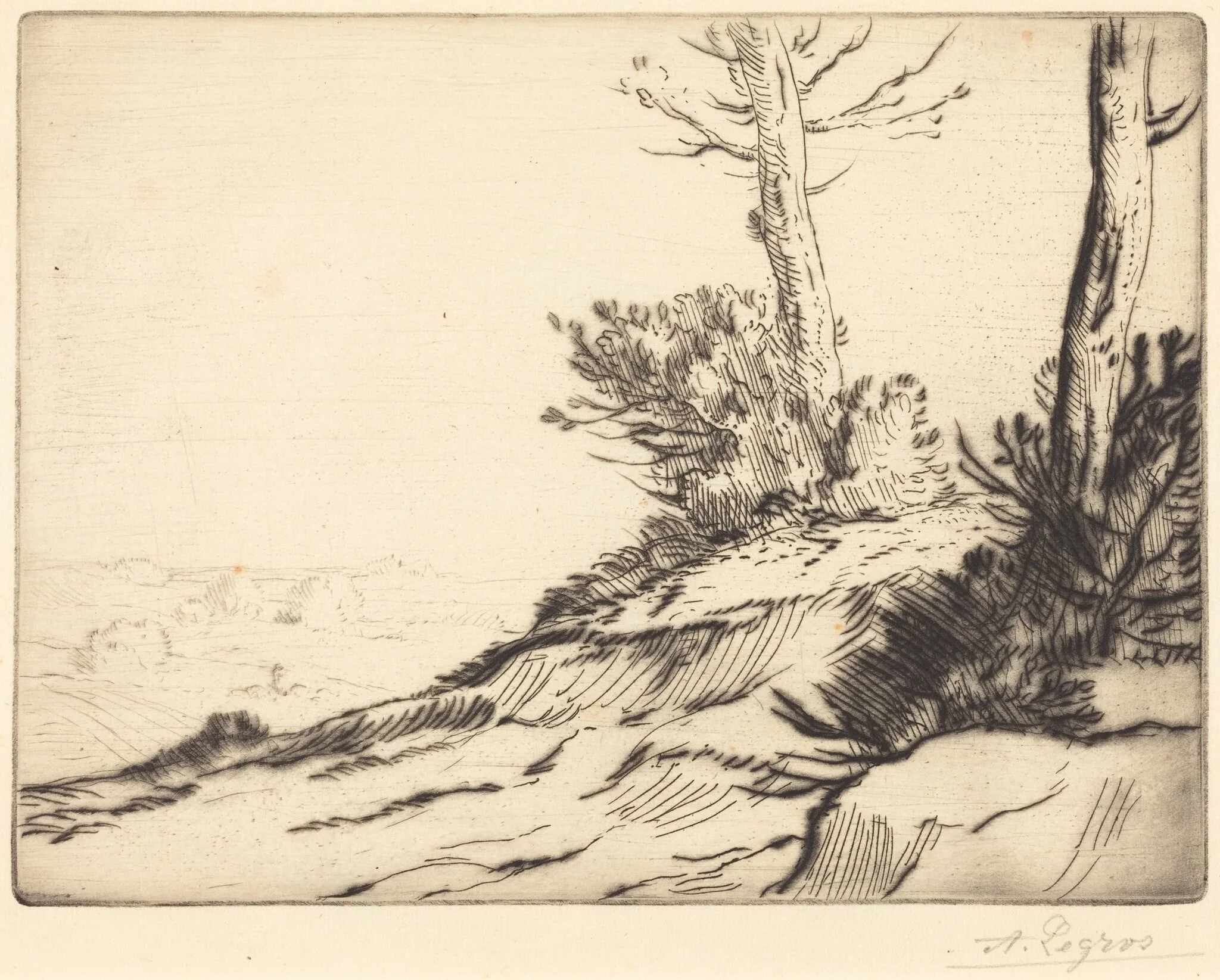 Hill with Bushes (La butte aux brousailles), detail