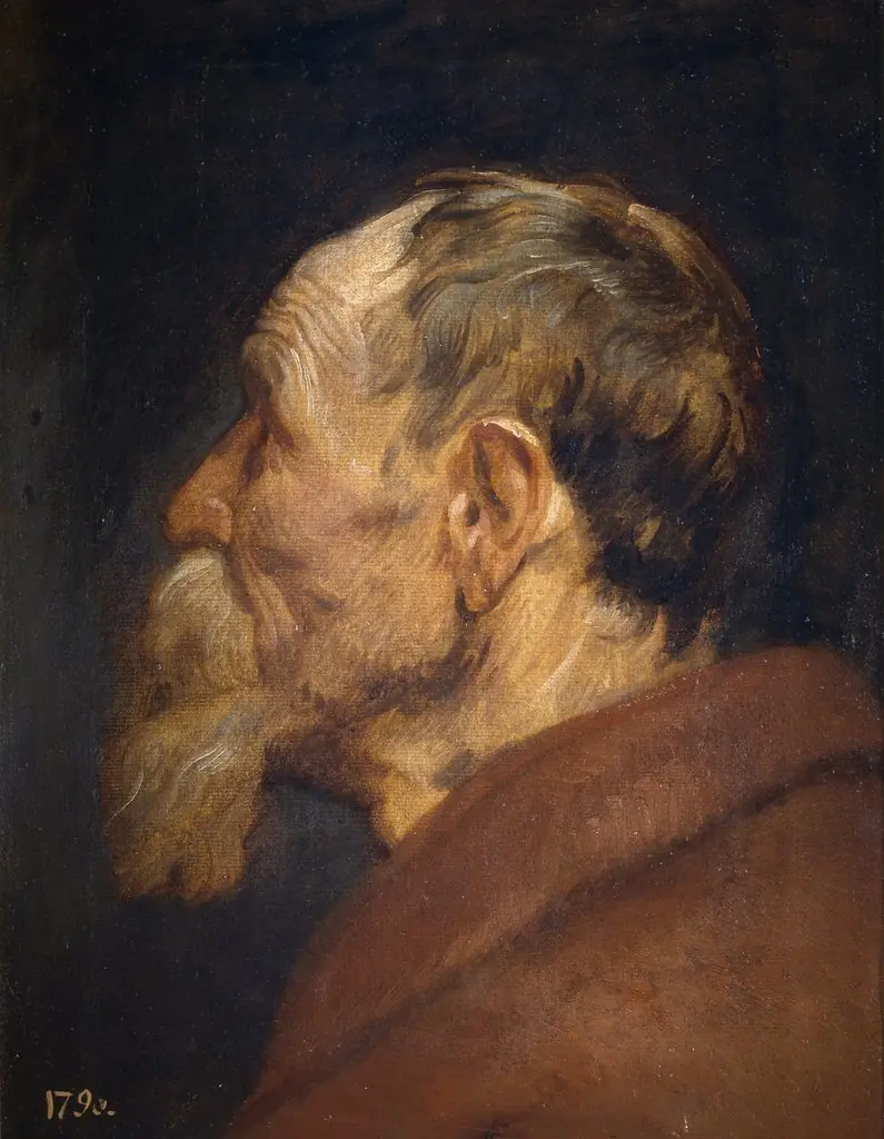 The Head of an Old Man, by Anthony van Dyck, oil, 1618