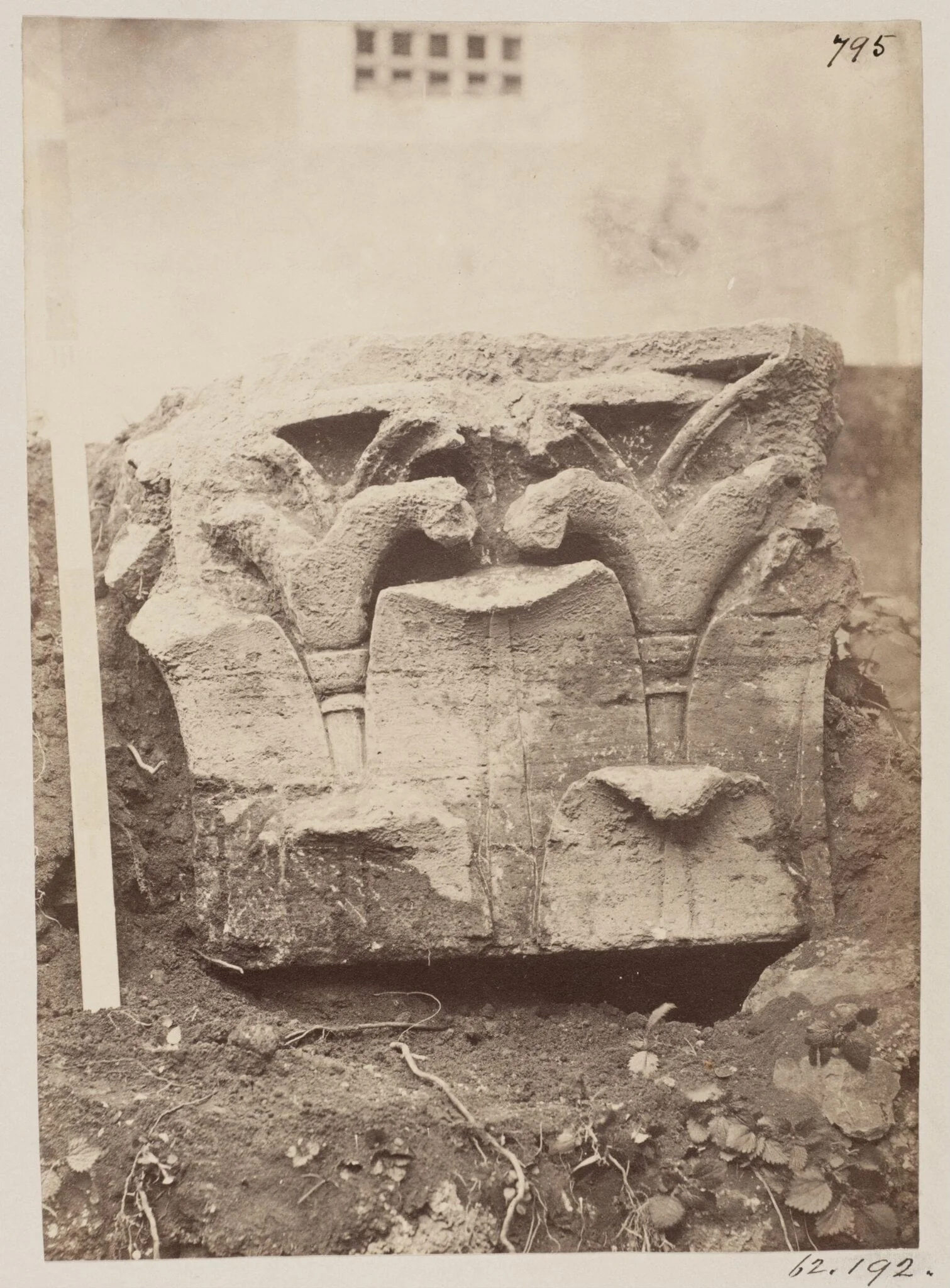 Sculptures - Broken Capital of the third century, found with the Marble Plan in 1867, at SS. Cosmas and Damian, detail