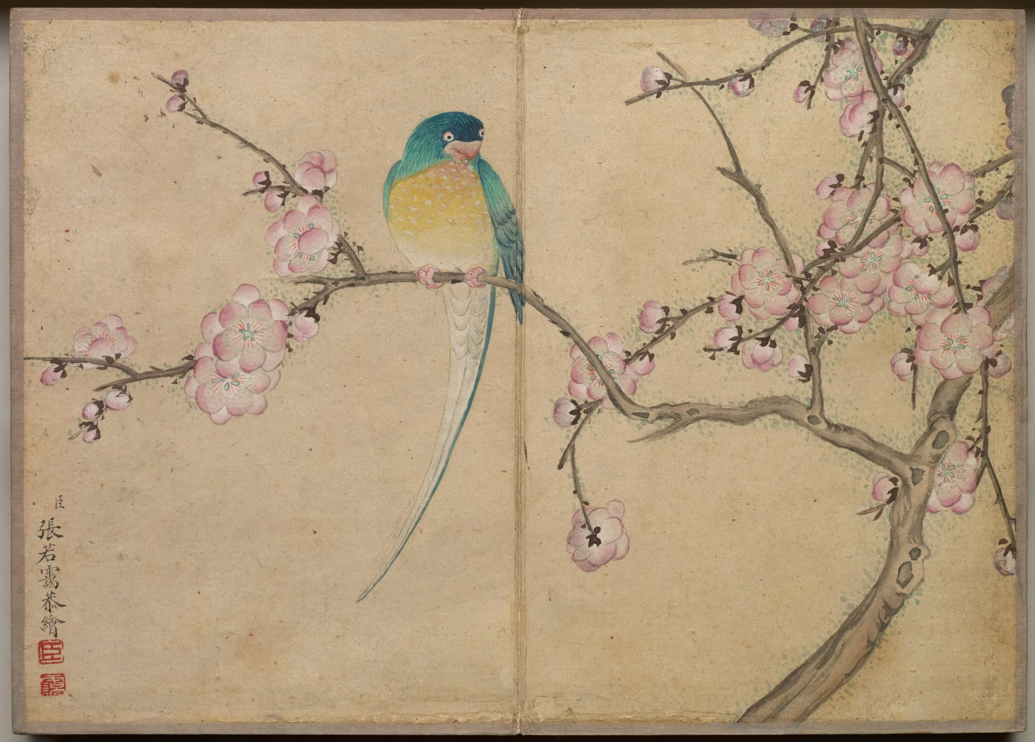 Desk Album: Flower and Bird Paintings (Bird with Plum Blossoms), detail