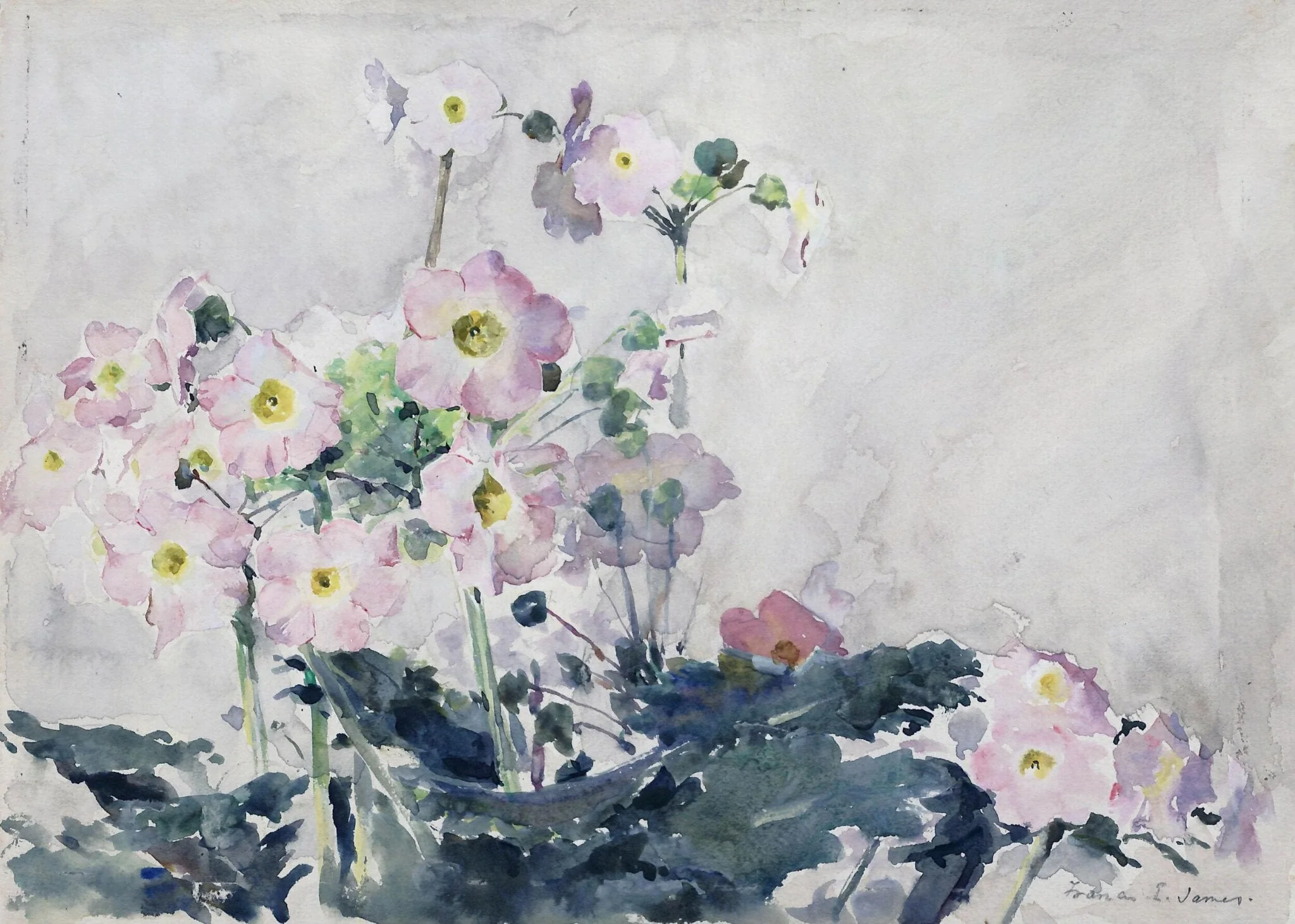 Primulas, detail