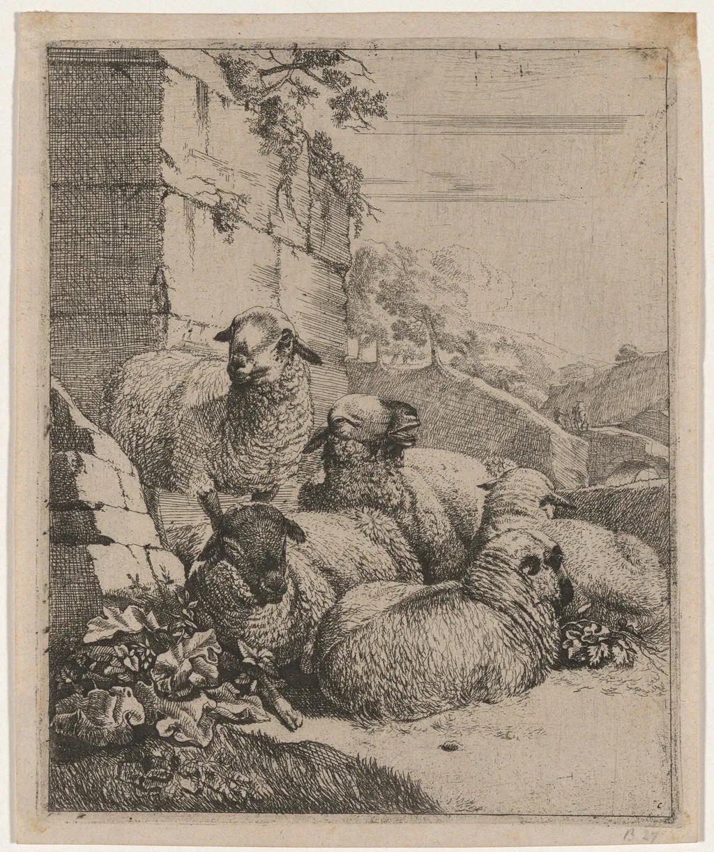 Flock of Sheep Resting, by Johann Heinrich Roos, ink, 1669