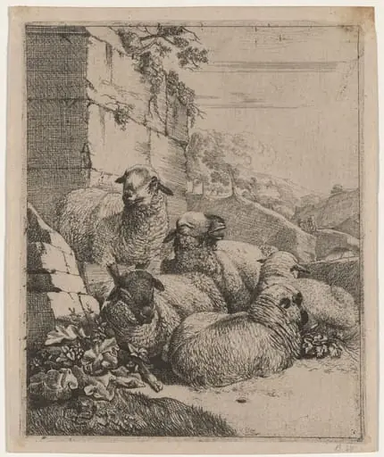 Flock of Sheep Resting, by Johann Heinrich Roos, ink, 1669