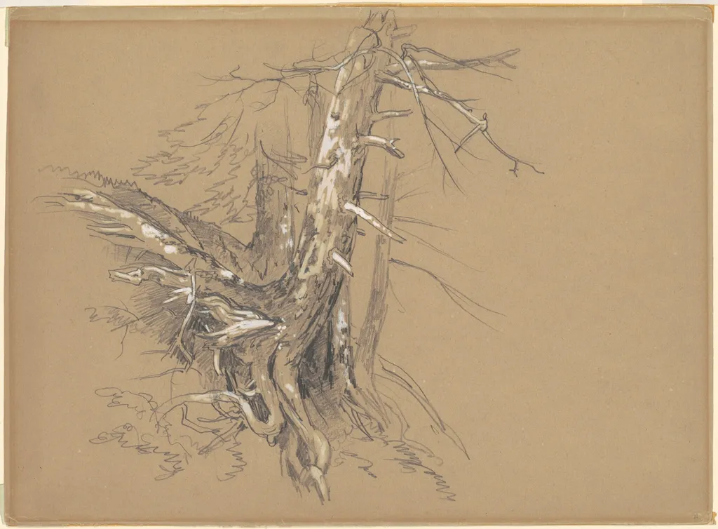 Tree Trunks, by David Johnson, gouache, 1864
