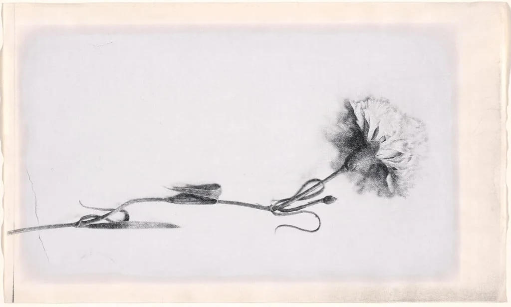 Untitled, detail