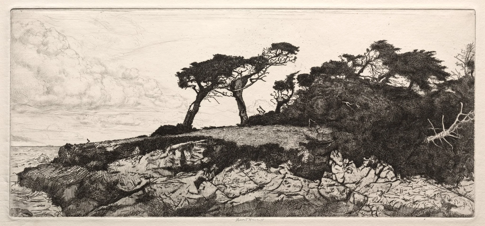 The Ostrich, detail