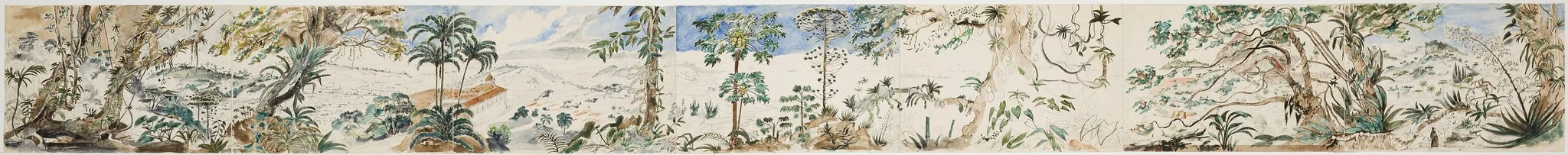Bresil. Vue de Rio de Janeiro, detail