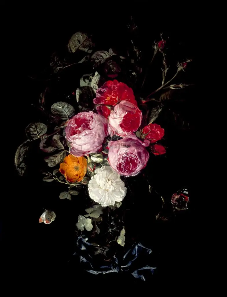 A Festoon of Roses hanging from a Blue Ribbon, with Butterflies and Insects, by Carstian Luyckx, oil, 1650