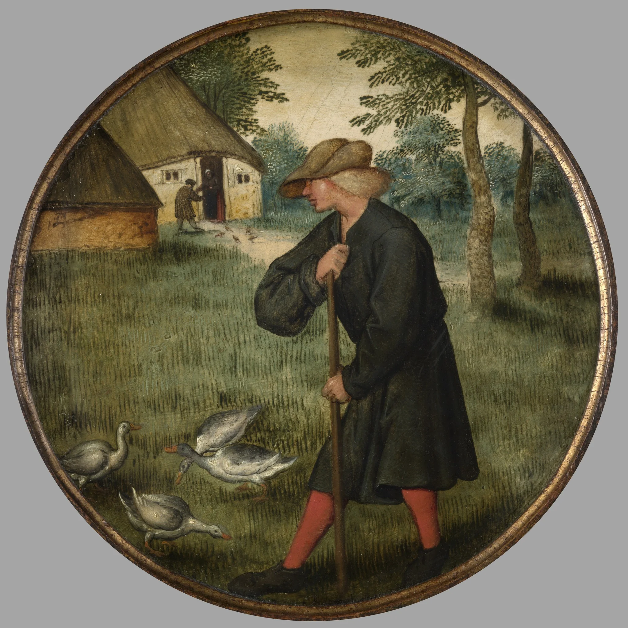 Who Knows why Geese Walk Barefoot ?, detail