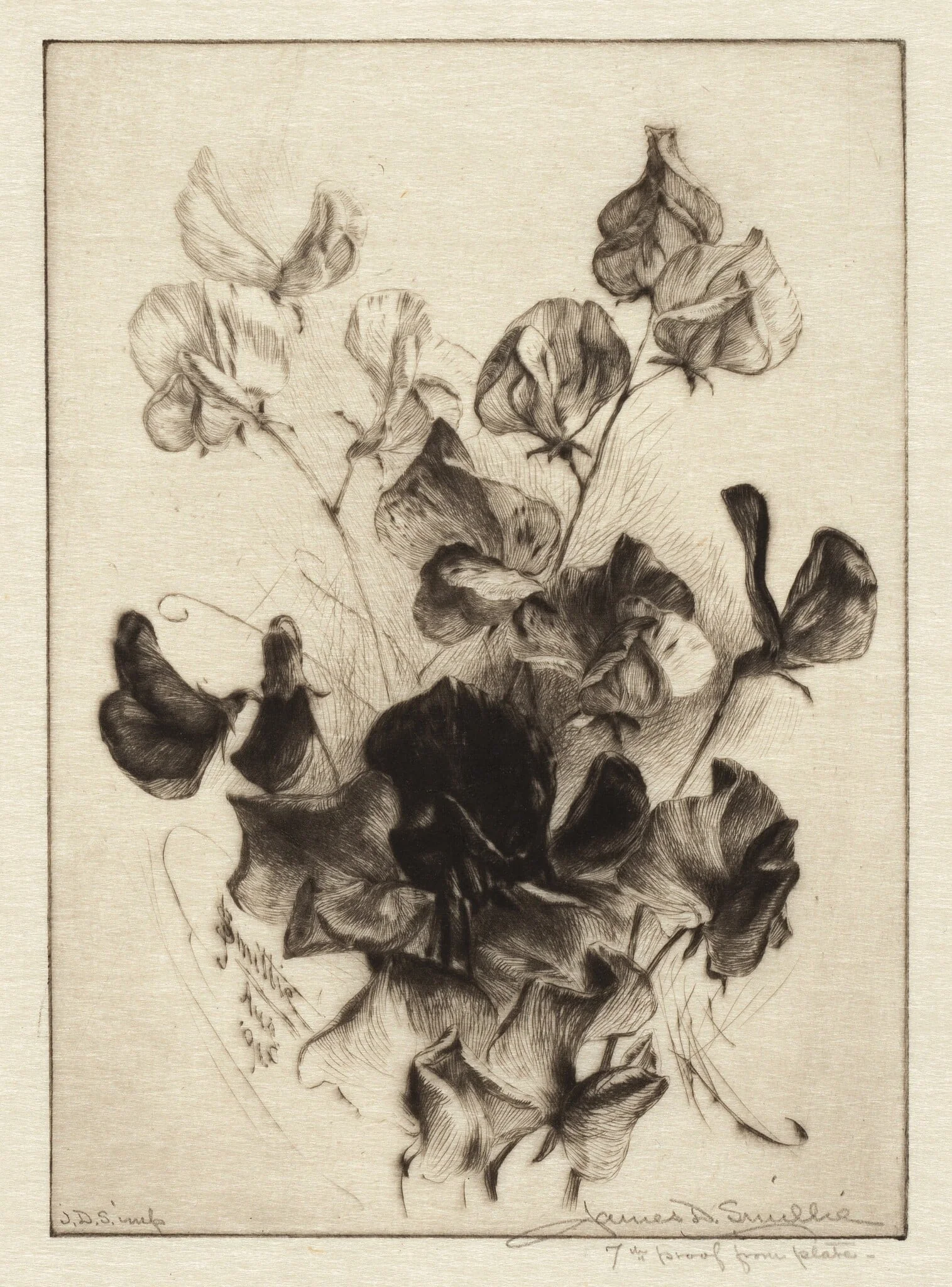 Sweet Peas, detail