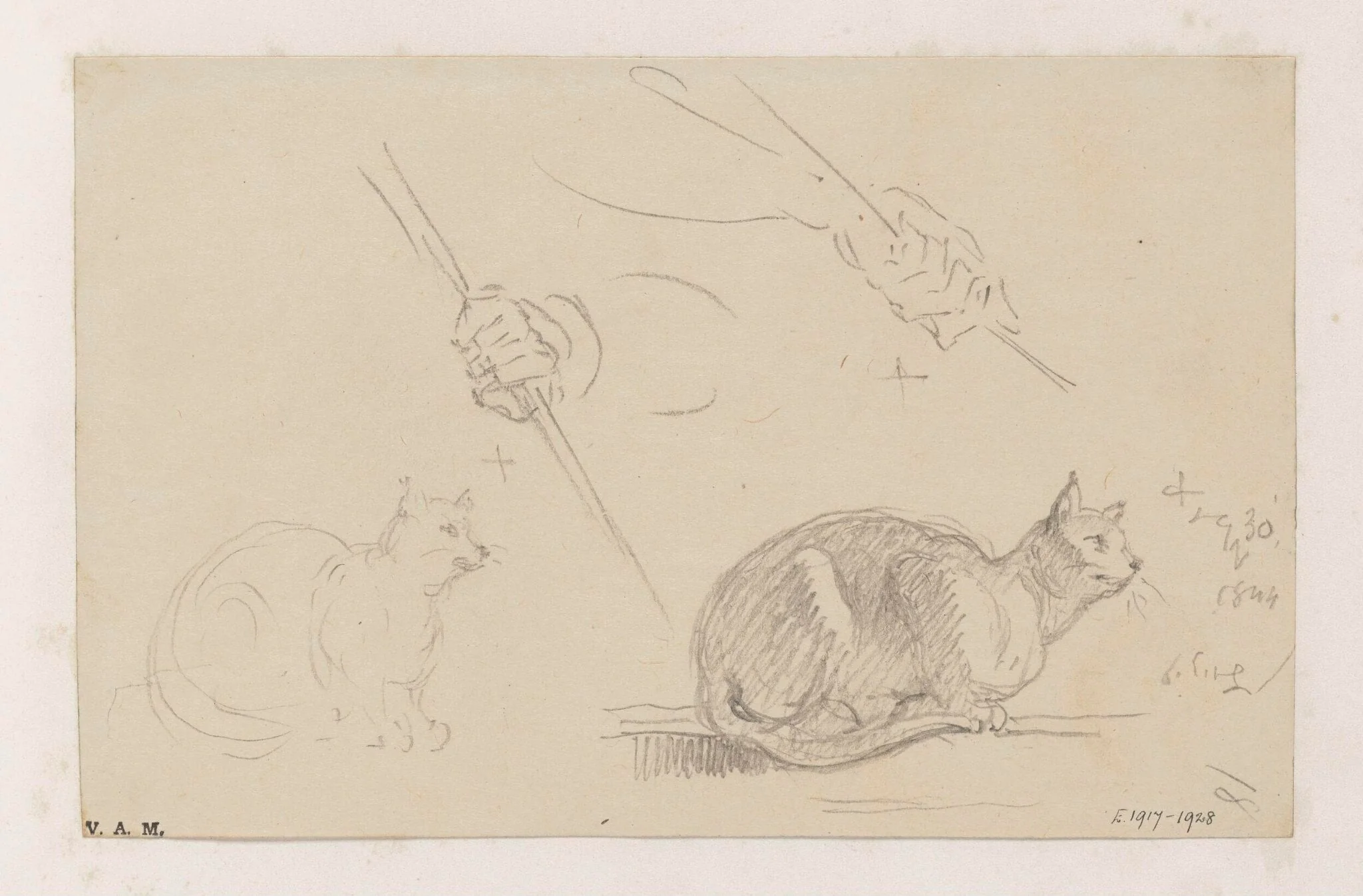 Studies of cats, and of a hand holding a pole, detail